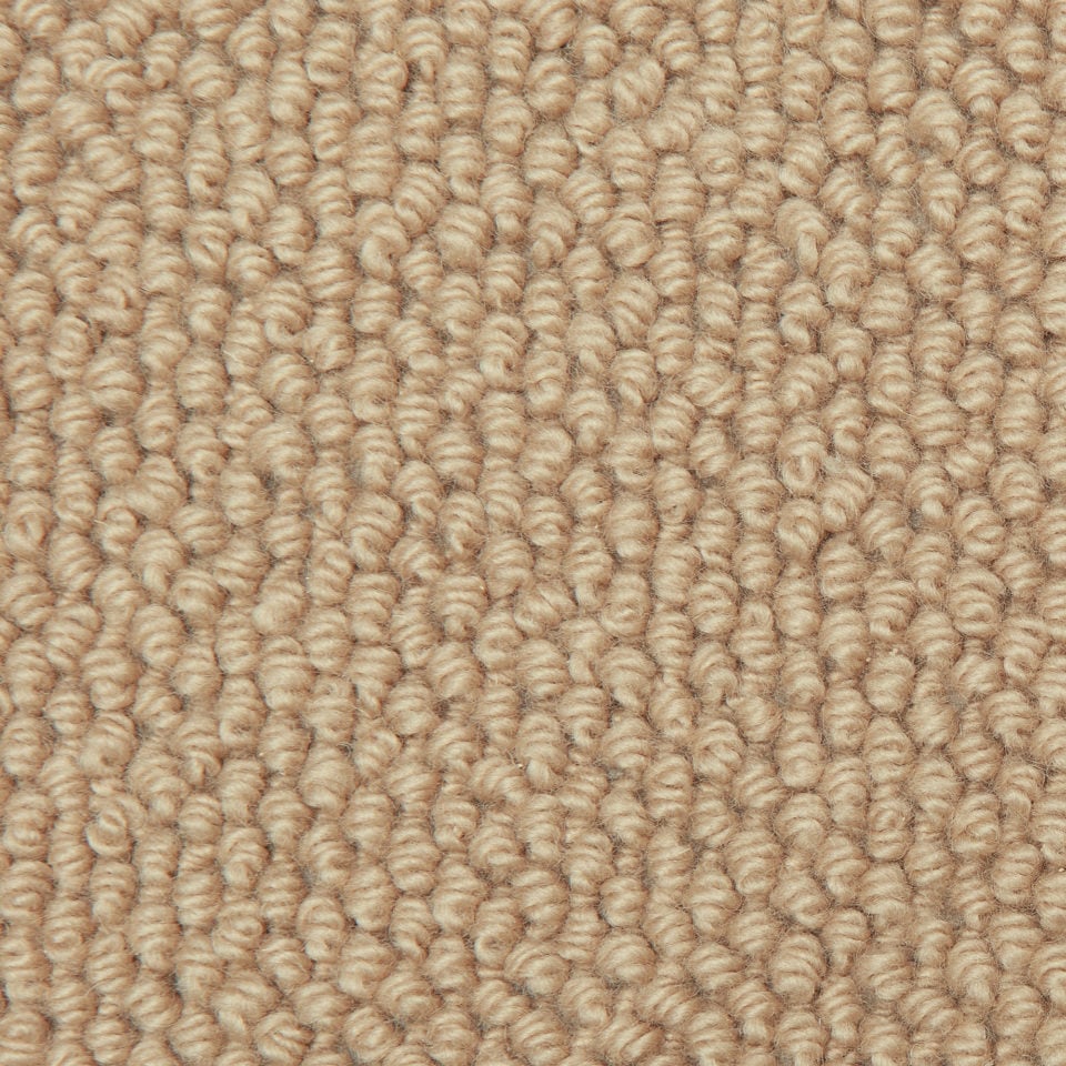 Chelsea Elegance   Cord 2801