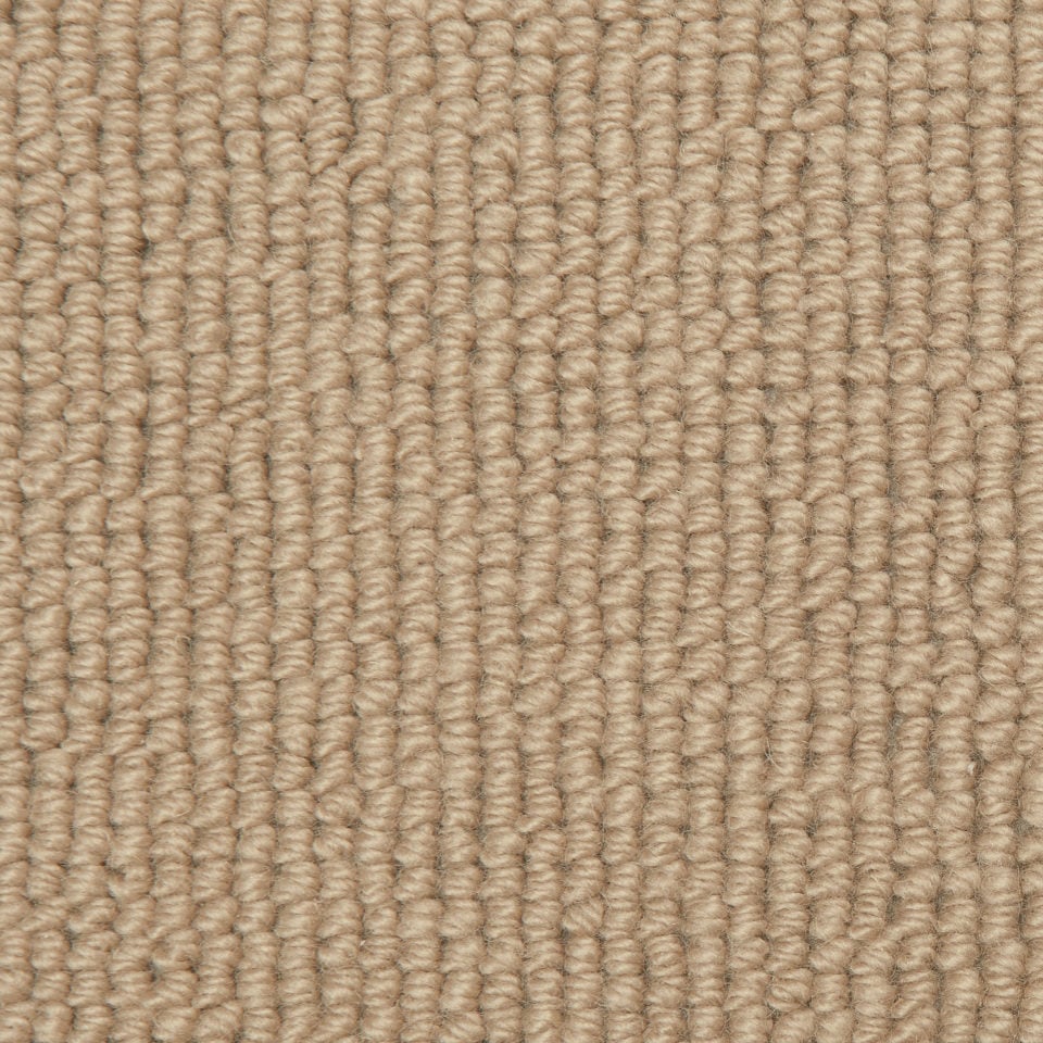Chelsea Splendour   Cord 2701