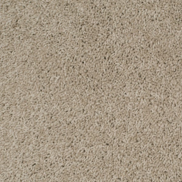 Pale Stone 05