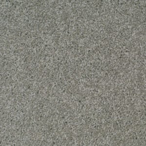 Shingle 12