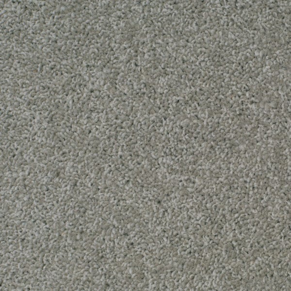 Shingle 12