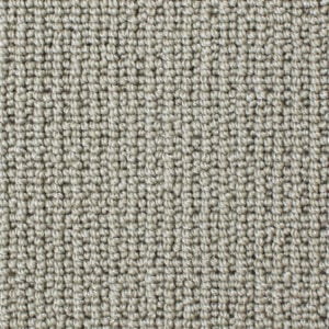 Zircon 2454
