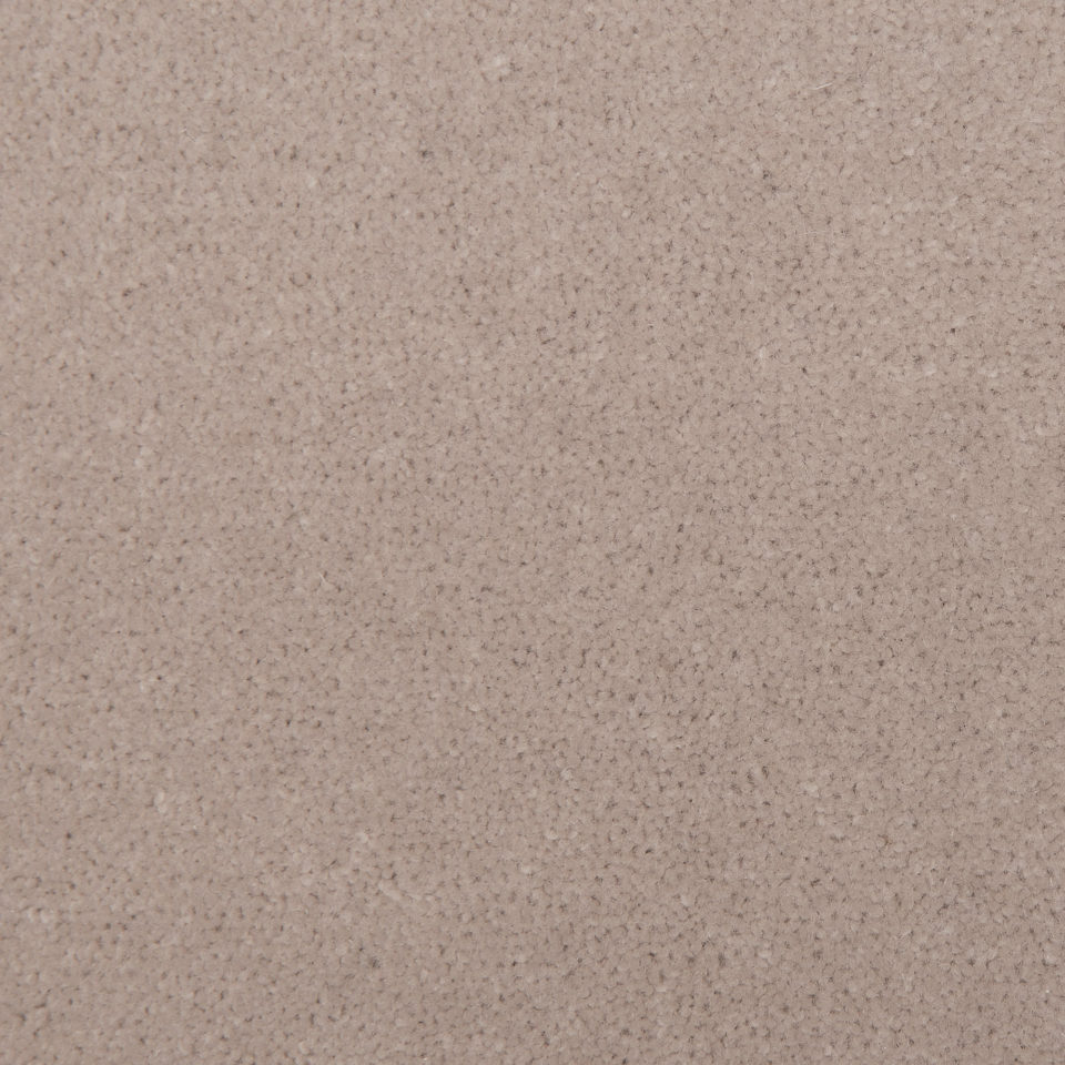 Fine Velvet   Bisque 13
