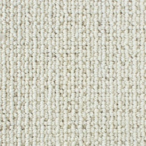 Polar White 101