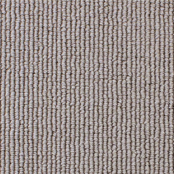 Turtle Dove 2005