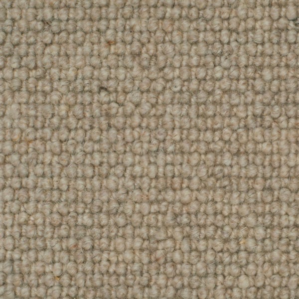 Maple 02