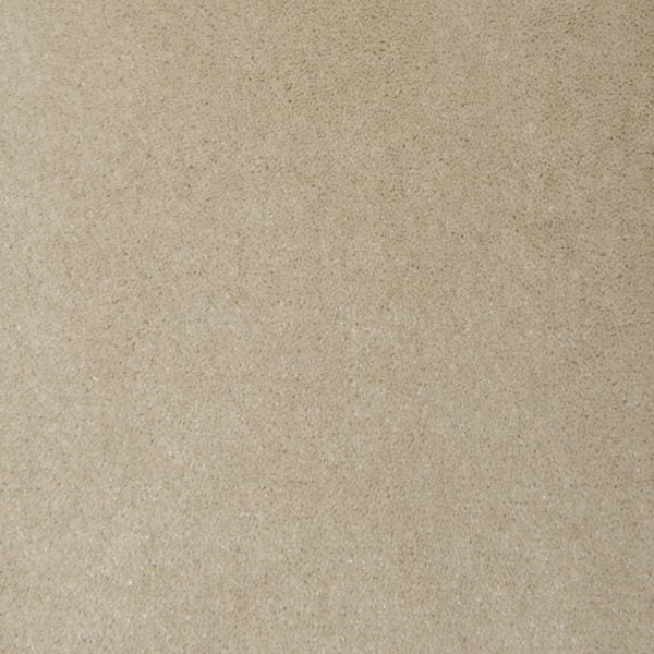 Chamois 8303