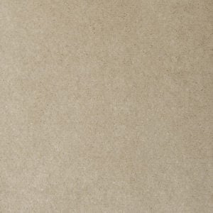 Chamois 8603