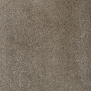 Turtle Dove 8604
