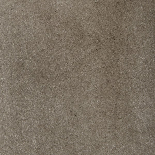 Turtle Dove 8604