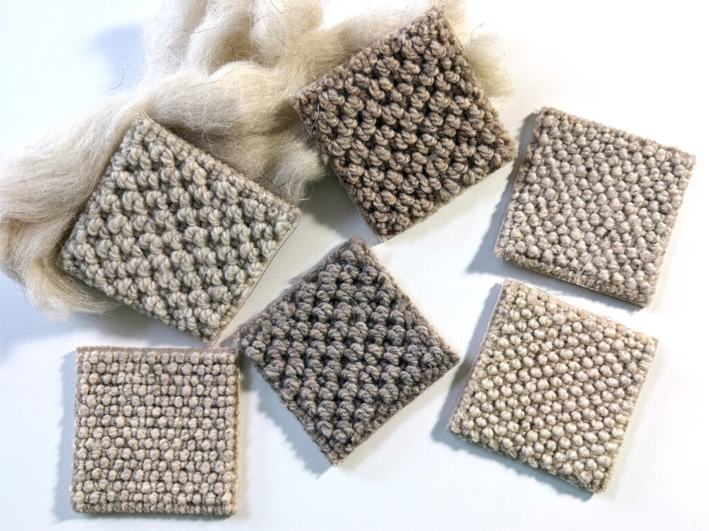 Close-up of six square carpet samples arranged in a circular layout on a white surface, showing chunky loop textures in neutral tones from cream and beige to warm taupe and grey, with loose natural wool fibres placed behind the samples to highlight the carpet’s natural material.
