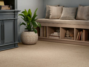 Endura Carpet Collection